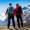 Walking Cane, Aluminum Alloy, Adjustable Folding, Travel, Hiking, and Anti-Slip